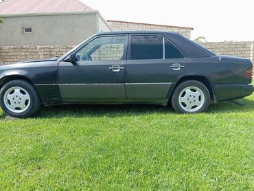 Mercedes-Benz: Mercedes-Benz 250: 2.5 l | 1991 il Van body type — 3