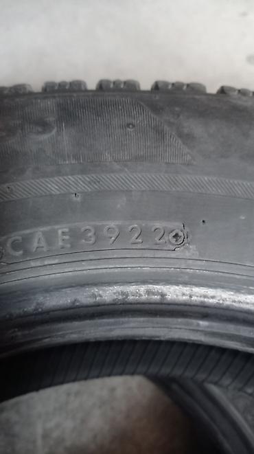 покрышки 14 185 70: Шины <130 / <25 / R 14, Зима, Б/у, Пара, Легковые, Япония — 2