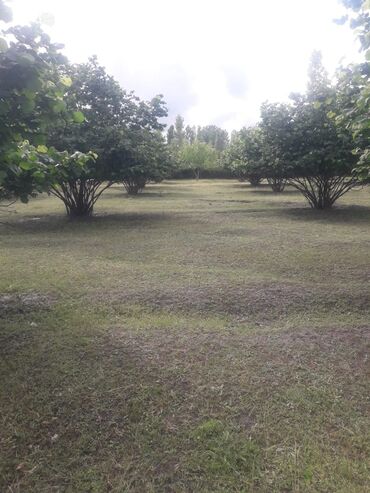 Torpaq sahələrinin satışı: 20 sot, Tikinti, Mülkiyyətçi, Kupça (Çıxarış), Müqavilə — 11