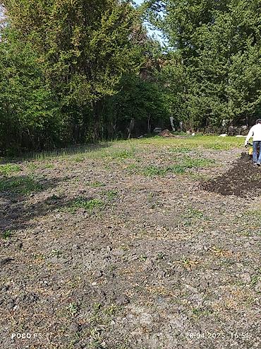 Другие услуги: Спашка огорода С дизельный мотоблок и бензиновый Цена договорная — 9