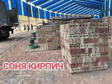 кафельный станок: Пустотелый, дырчатый, Жженый кирпич, Полублок, 250×120×90 — 1