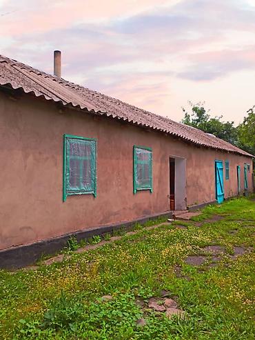 слив пантеры котетдж: 7 соток — 1