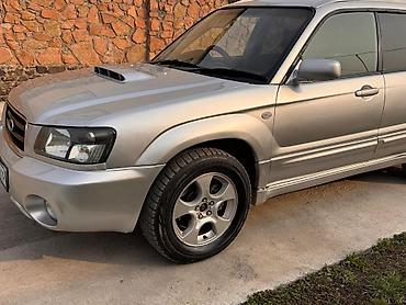 Subaru: Subaru Forester: 2003 г., 2 л, Автомат, Бензин, Универсал — 6