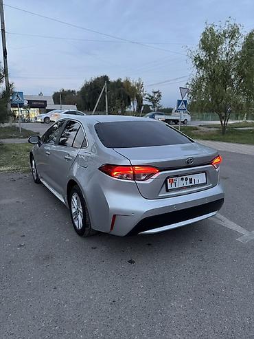 авто лейлек: Toyota Levin: 2020 г., 1.8 л, Гибрид, Седан — 2