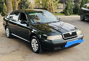 тонировка кант: Skoda Octavia: 1999 г., 1.6 л, Механика, Дизель, Седан — 3