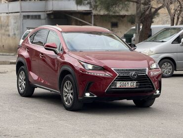 опель вектра б: Lexus NX: 2019 г., 2 л, Автомат, Бензин, Кроссовер