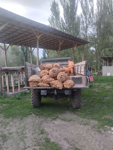 грузовой волво: Грузовик, Б/у