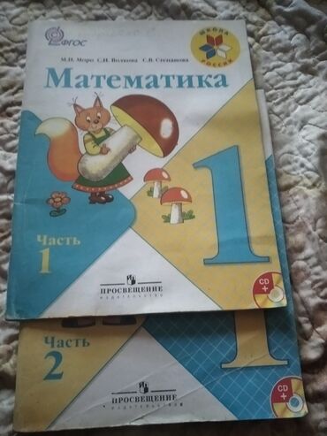 готовые домашние задания по кыргызскому языку 5 класс жусупбекова: Книги для начинающих 0-1й класс русская азбука 150сматематика 1й, 2й