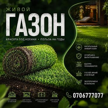 искусственный коврик: Рулонный газон — 1