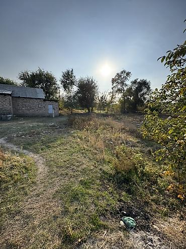 вагон строителный: 15 соток, Для бизнеса, Красная книга, Договор купли-продажи — 3