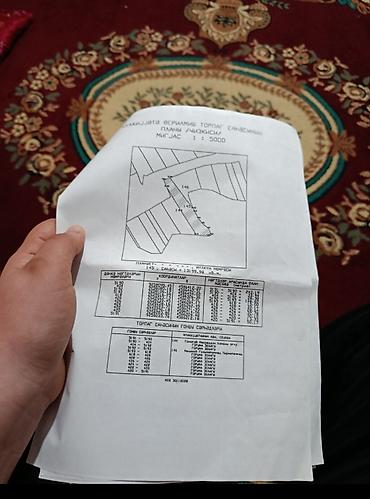 dəniz məhsulları satışı: Salam Qusar rayonu dağ gican kəndində 80 sot torpaq sahəsi satılır — 1