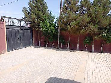 Həyət evləri və villalar: 3 otaqlı, 150 kv. m, Orta təmir — 10