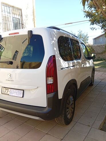 Peugeot: Peugeot : 1.5 l | 2023 il 55000 km Van/Minivan — 6