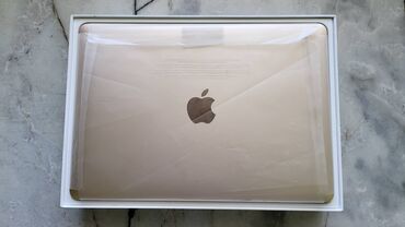zashchitnye plenki dlya planshetov apple ipad 20172018: Apple