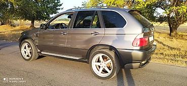 BMW: BMW X5: 2004 г., 4.4 л, Типтроник, Бензин, Седан — 14