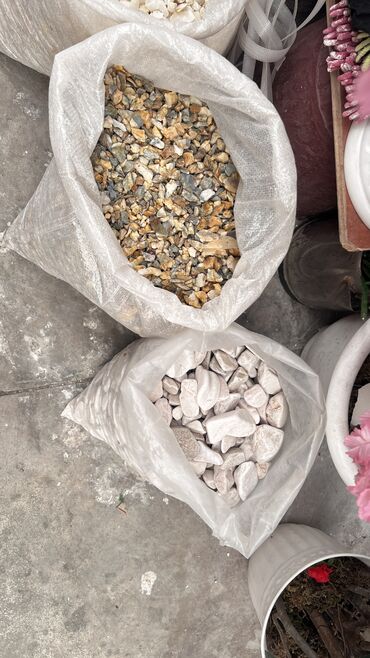 Toxumlar: 9 azn baslayan qiymetler Suni qazonlarin topdan satisi Suni qazon — 16