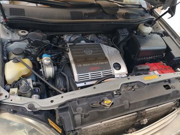 Lexus: Lexus RX: 2001 г., 3 л, Автомат, Кроссовер — 3