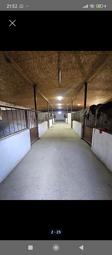 Продажа коттеджей и домов: Продается современный кошар с домом в селе Чокморов 💸=480.000$+торг — 2