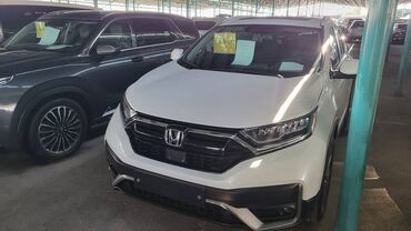 Kia: Honda CR-V: 2020 г., 1.5 л, Автомат, Бензин, Кроссовер