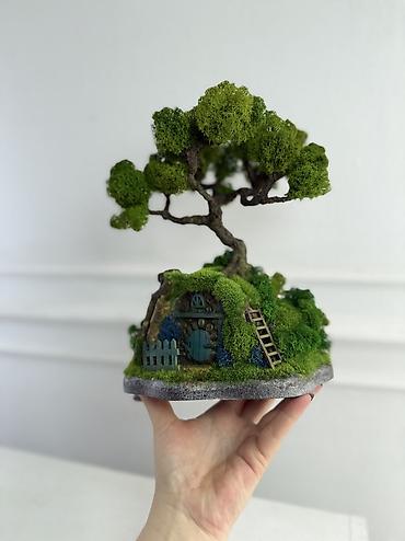 Декоративные цветы: Деревья-бонсай из натурального стабилизированного мха🌳 -это — 1