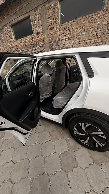 полик для машин: Changan Qiyuan Q05: 2026 г., Автомат, Электромобиль, Кроссовер — 5
