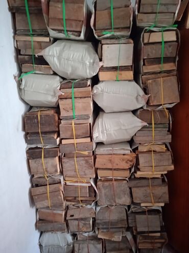 голубая ель саженцы: Дрова Сосна, Самовывоз, Бесплатная доставка, Платная доставка