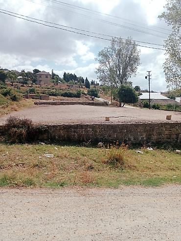 gence torpaq alqi satqi: 11 sot, Mülkiyyətçi, Kupça (Çıxarış) — 1