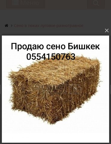 Корма для с/х животных: Продам пресс 30шт(клевер, трава,сено) село Военно -Антоновка цена