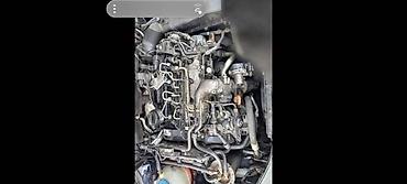 audi a4 b7 karavan: MOTOR 2.0 TDI CAG COM.RAIL ZA AUDI A4, A6 OD 2008. DO 2010. GOD — 1
