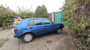 голы двойка: Volkswagen Golf: 1991 г., 1.8 л, Механика, Бензин, Хэтчбэк