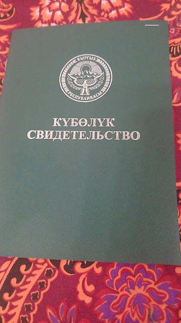 активизация офис: 300 соток, Для сельского хозяйства, Договор купли-продажи — 1