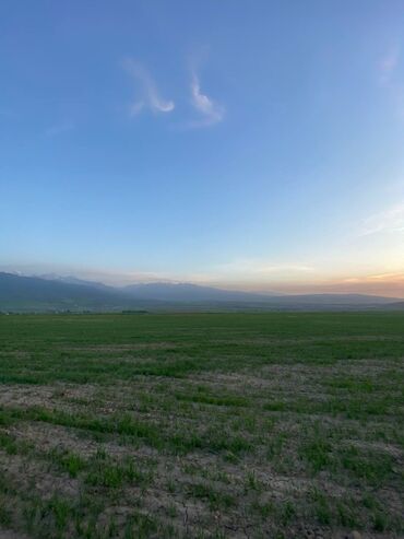 продаю участок чалдовар: 160 соток, Бизнес үчүн