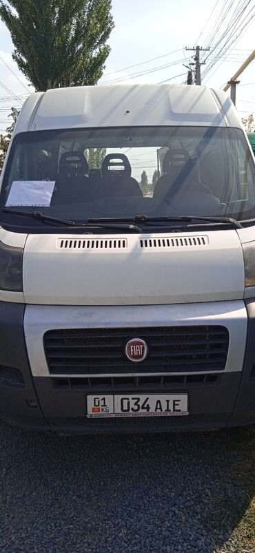 Fiat: Fiat Ducato: 2014 г., 2.3 л, Механика, Дизель, Бус