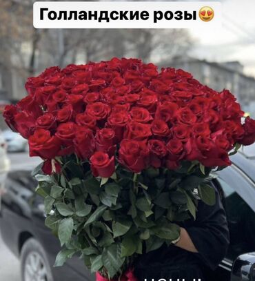 синий роза: Акция -Красные розы 70 см 220сом 1 шт. Лучшие голландские розы 🌹 в