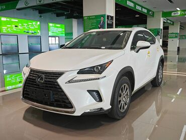 фары альтеза: Lexus NX: 2021 г., 2 л, Автоматтык, Бензин, Жол тандабас