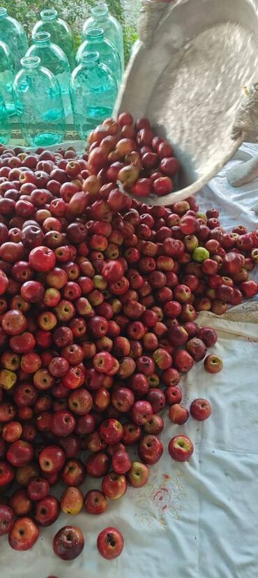 Souslar və ədviyyatlar: Evdə,təbii üsulla hazırlanmış(GMO-suz) Qəbələnin QIZILƏHMƏDİ — 6