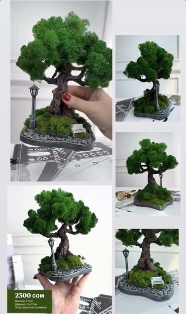 Декоративные цветы: Деревья-бонсай из натурального стабилизированного мха🌳 -это — 25