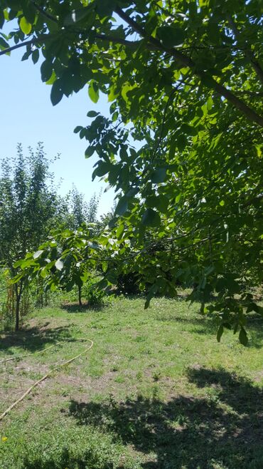 Torpaq sahələrinin satışı: 15 sot, Tikinti, Makler, Kupça (Çıxarış) — 5