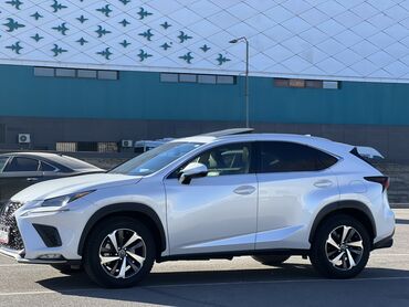 Lexus: Lexus NX: 2020 г., 2 л, Автомат, Бензин, Кроссовер — 3