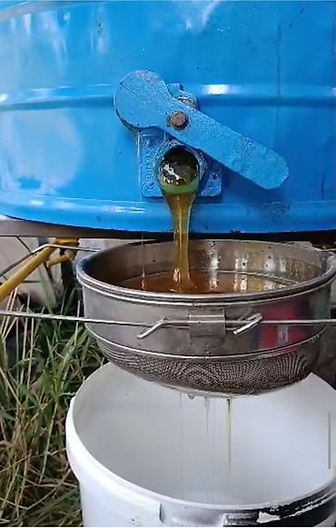 кой кисар: Продается горный мёд 🍯 
с солнечной долины Берюлю — 1