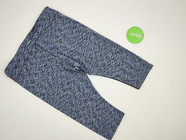 bizzu polar: Legginsy Sportowe damskie, rozmiar XL — 3