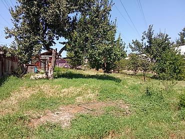 арчалы участок: 4 соток — 5