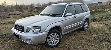 Subaru: Subaru Forester: 2004 г., Автомат, Бензин, Кроссовер — 4