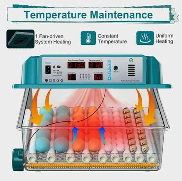 İnkubatorlar: Yeni satışda 64 yumurtalıq inkubator. Fotolar ona aiddir. Tam -da lalafo.az — 7 İnkubatorlar: Yeni satışda 64 yumurtalıq inkubator. Fotolar ona aiddir. Tam — 7