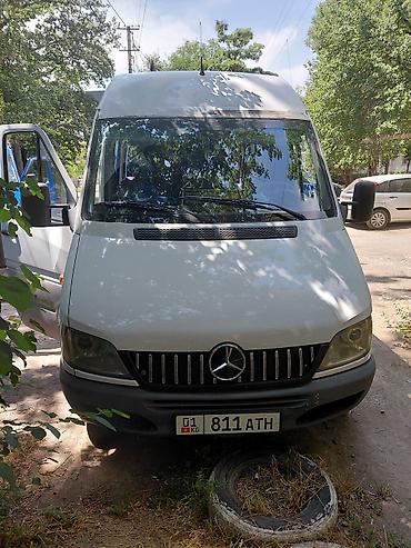 Бус на заказ Иссык Куль,Чолпон Ата,Бостери,Каракол