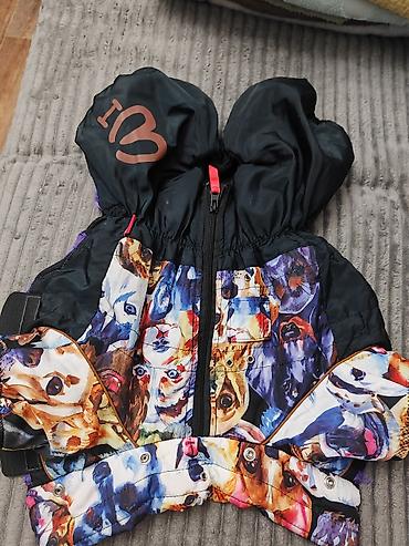 Зоотовары: Тёплая одежда, (две модели),маечки для Йорка 1) Комбинезон/пальто — 3