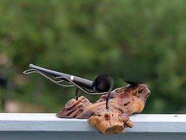 Stare vaze i dekor: Stara pepeljara sa dva držača za lule na drvenom postolju. Stara — 11