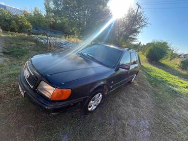 Audi: Audi 100: 1993 г., 2 л, Механика, Бензин, Универсал