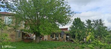 Həyət evləri və villaların satışı: 15 otaq, 300 kv. m, Kredit yoxdur, Orta təmir -da lalafo.az — 15 Həyət evləri və villaların satışı: 15 otaq, 300 kv. m, Kredit yoxdur, Orta təmir — 15