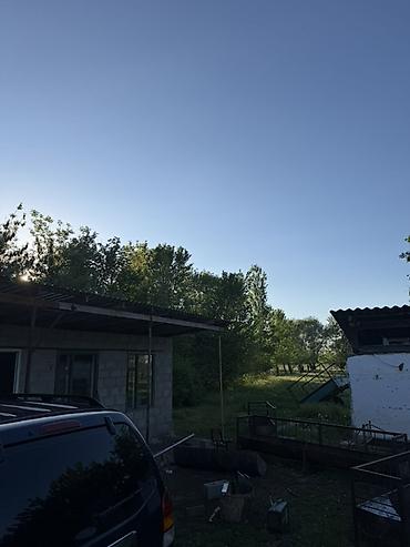 Продажа коттеджей и домов: Продаётся жилой дом. - Большой зелёный участок с деревьями и — 7